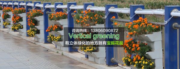 泉州小池護(hù)欄