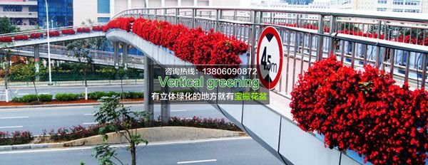 廈門(mén)人行天橋立體綠化