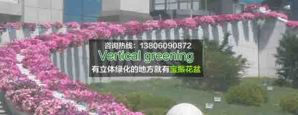  漳浦護(hù)欄立體綠化