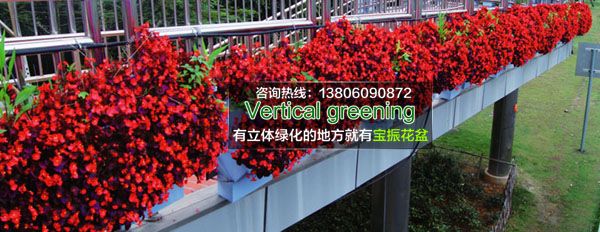 廈門(mén)人行天橋立體綠化