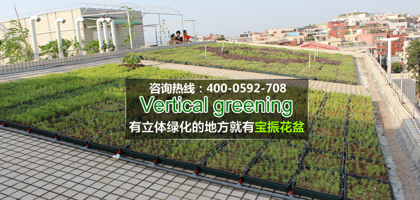 垂綠小區(qū)，怡然之地